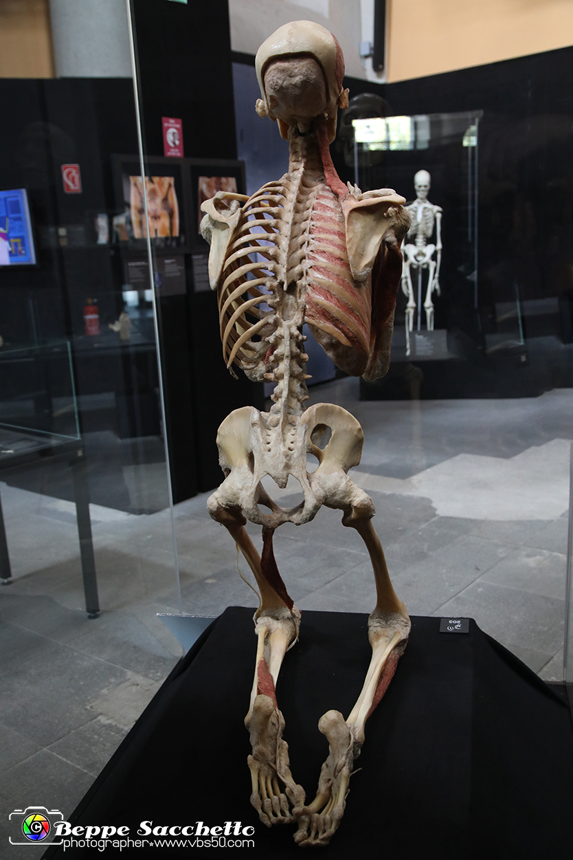 VBS_3102 - Mostra Body Worlds.jpg